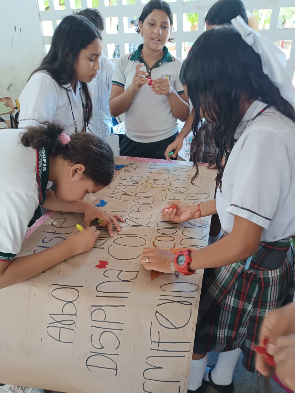 Aniversario INSTEMARFIS
